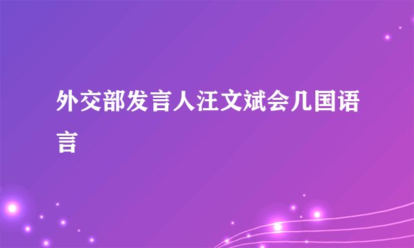 外交部发言人汪文斌会几国语言