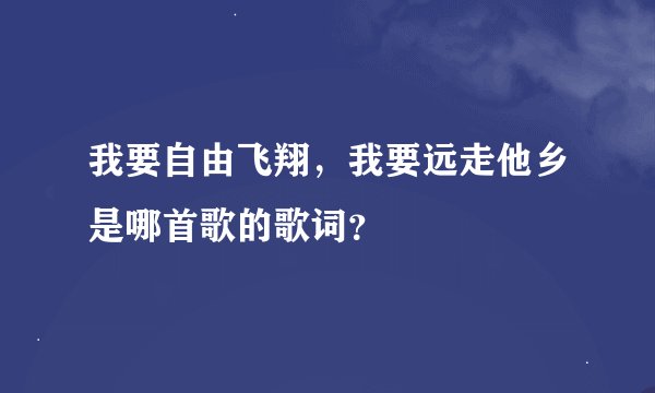 我要自由飞翔，我要远走他乡是哪首歌的歌词？