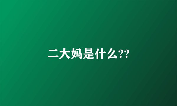 二大妈是什么??