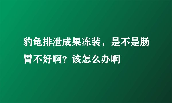 豹龟排泄成果冻装，是不是肠胃不好啊？该怎么办啊