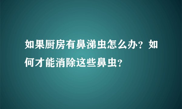 如果厨房有鼻涕虫怎么办？如何才能消除这些鼻虫？