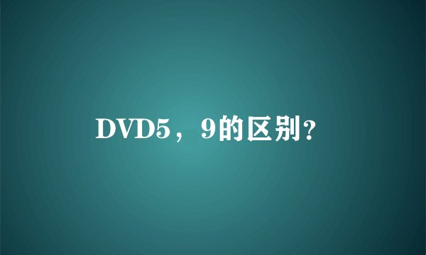 DVD5,9的区别?