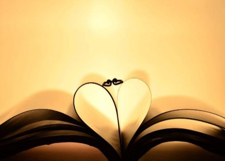 teamo是什么意思