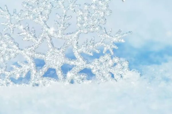 描写十二月的古诗