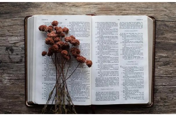 2024年药士考试什么时候报名