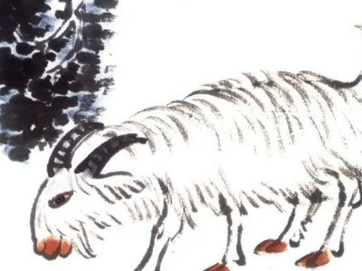 女贼二进家指的是什么生肖