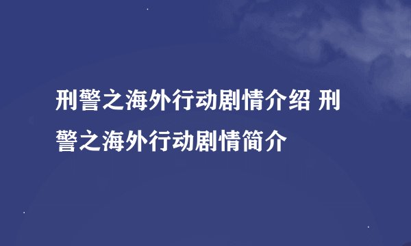 刑警之海外行动剧情介绍 刑警之海外行动剧情简介