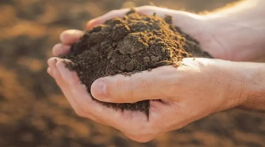 我国稀土储量世界第几