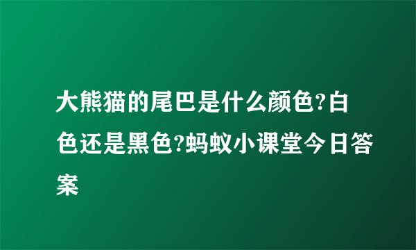 大熊猫的尾巴是什么颜色?白色还是黑色?蚂蚁小课堂今日答案