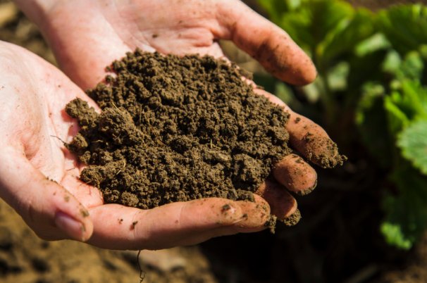 土壤三普是什么意思