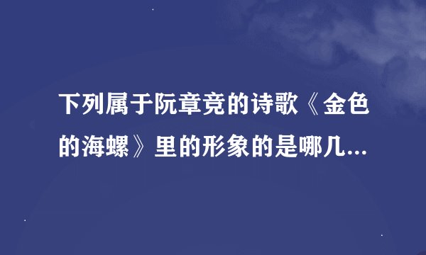 下列属于阮章竞的诗歌《金色的海螺》里的形象的是哪几项？（）