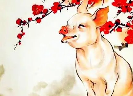 生肖猪什么地方与众不同,让人刮目相看?