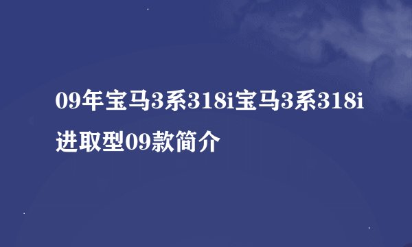 09年宝马3系318i宝马3系318i进取型09款简介