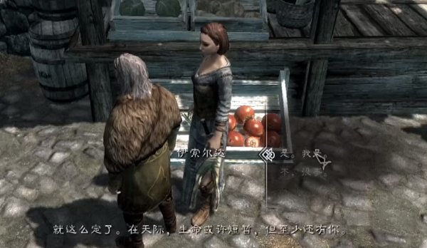 上古卷轴5怎么结婚