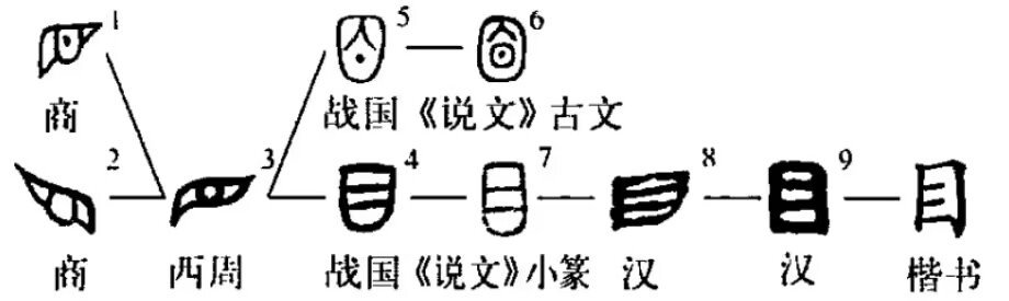 带有目字的四字词语有哪些?