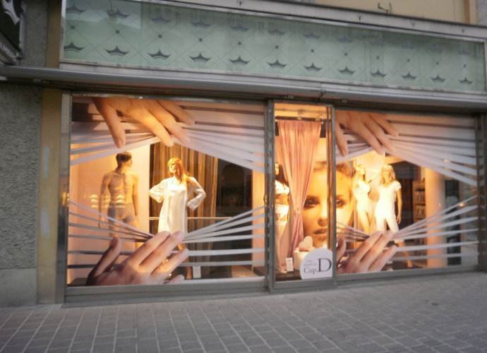 安娜的橱窗讲的是什么事情