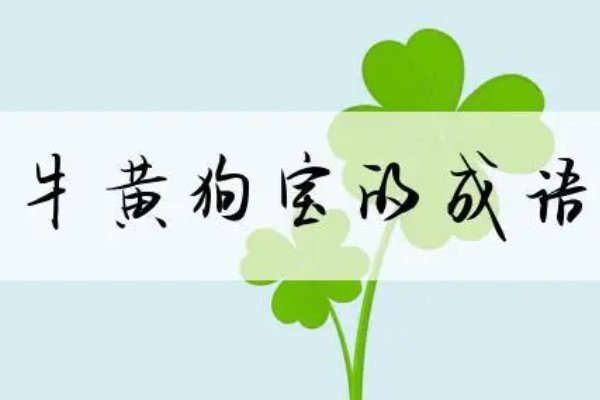 什么黄狗宝成语