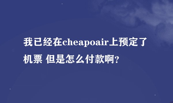 我已经在cheapoair上预定了机票 但是怎么付款啊？