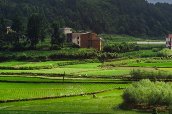 用风景如画写句子