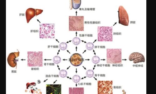 老干体的三大特点