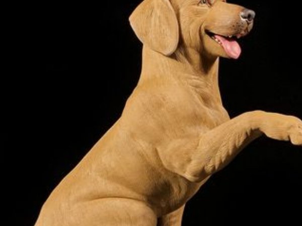 晚年最惨的四个属相