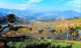 灌溉的近义词是什么？