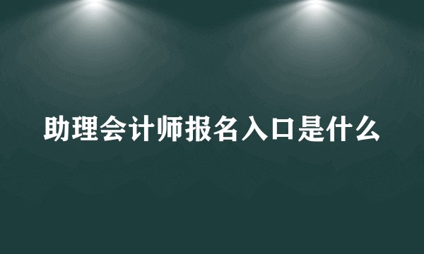 助理会计师报名入口是什么