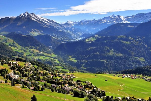 suisse是什么意思