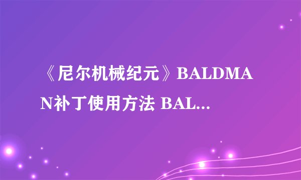 《尼尔机械纪元》BALDMAN补丁使用方法 BALDMAN补丁怎么用