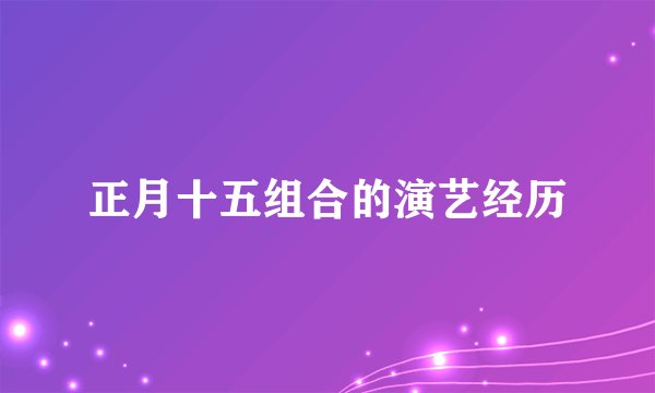 正月十五组合的演艺经历