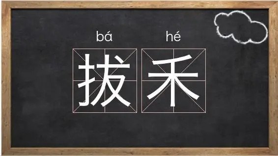 拔的笔顺和拼音