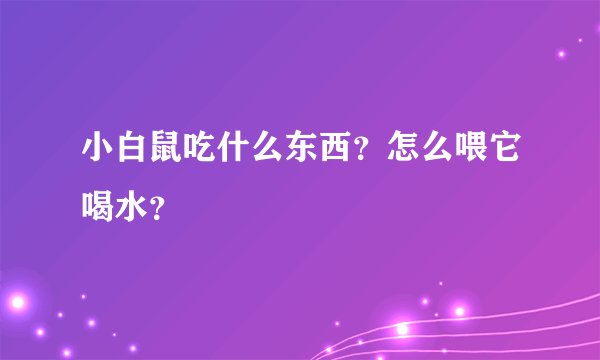 小白鼠吃什么东西？怎么喂它喝水？