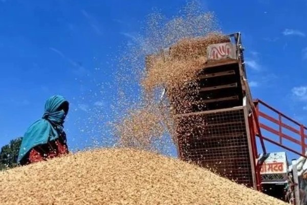 各国都在囤粮,这对普通人的影响有哪些?