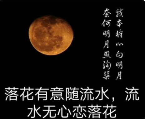 我拿真心对明月奈何明月照沟渠是什么意思？