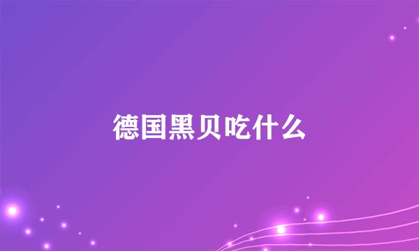 德国黑贝吃什么