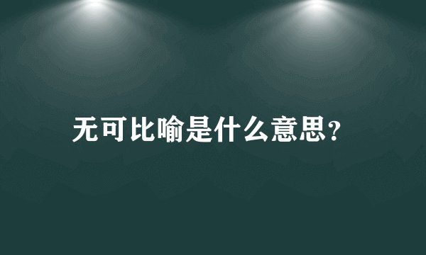 无可比喻是什么意思？