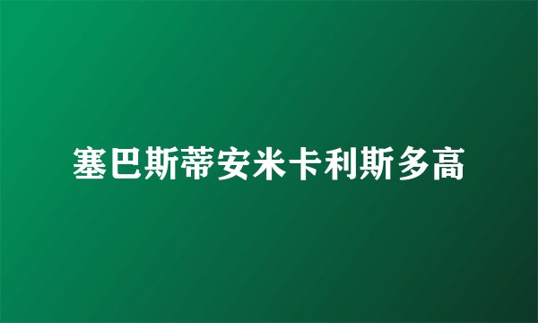塞巴斯蒂安米卡利斯多高