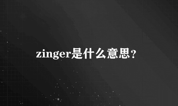 zinger是什么意思？
