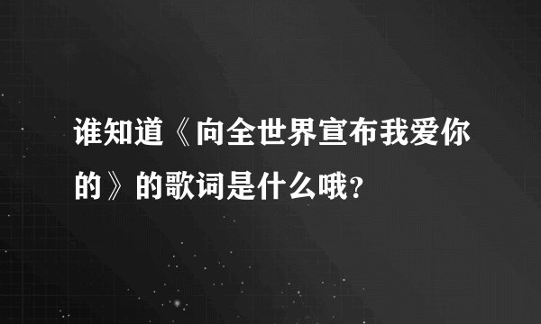 谁知道《向全世界宣布我爱你的》的歌词是什么哦？