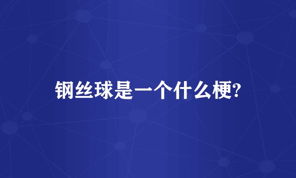 钢丝球是一个什么梗?