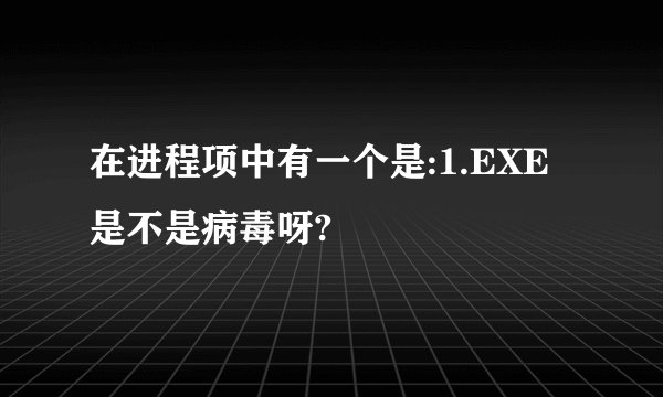 在进程项中有一个是:1.EXE  是不是病毒呀?