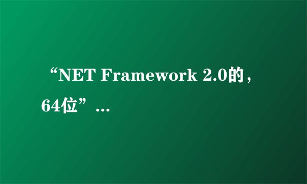 “NET Framework 2.0的， 64位”是什么意思?