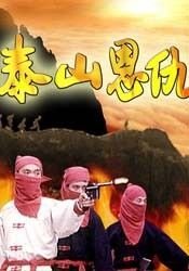 泰山恩仇的故事梗概