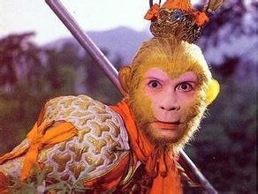 精诚所至金石为开猜一生肖