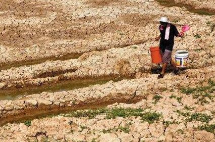 大旱会引发粮价、菜价上涨吗？高温干旱天气如何做好蔬菜管理？