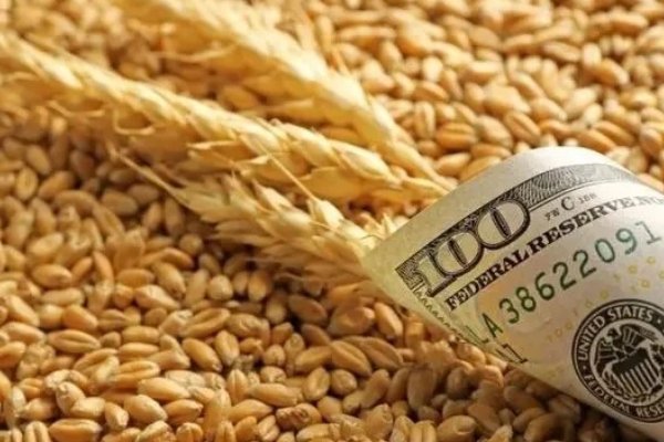 各国都在囤粮，这对普通人的影响有哪些？