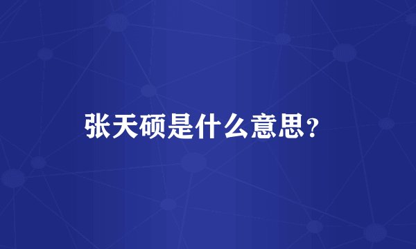 张天硕是什么意思？