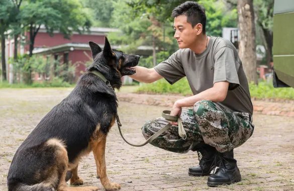 神犬奇兵演员表全部