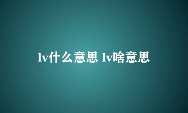 lv什么意思 lv啥意思