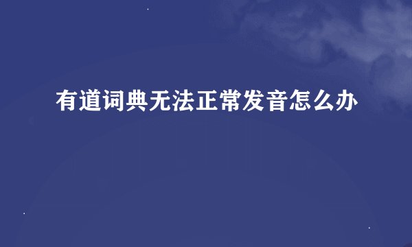 有道词典无法正常发音怎么办